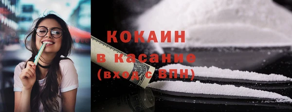 гашик Болохово