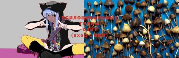 винт Покачи