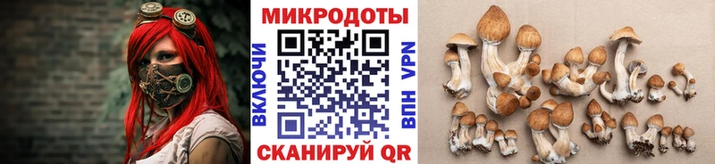 KRAKEN зеркало Лыткарино Галлюциногенные грибы прущие грибы
